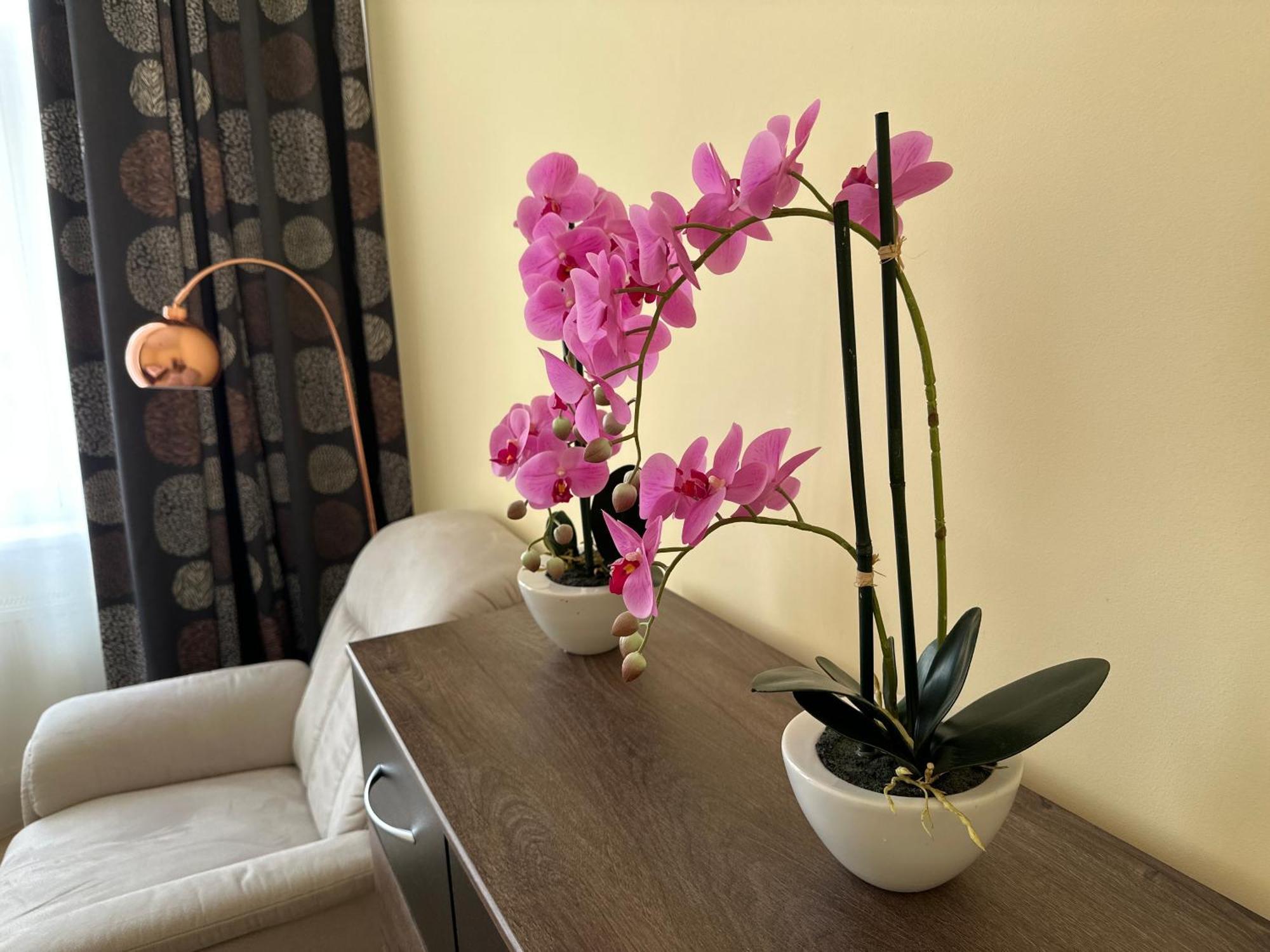 Apartment Zeyerova4 Karlovy Vary Ngoại thất bức ảnh